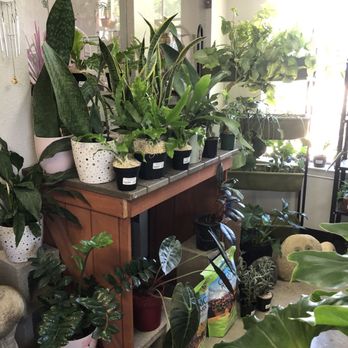 Marshall Grain Company - Nurseries & Gardening Near Me - Colleyville, Texas