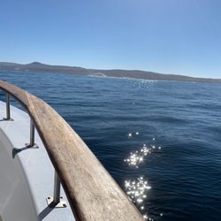 Pacific Dawn Sportfishing - Glassy smooth weather at San Miguel