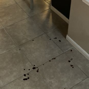 The Kennel Klub - Dog pooping blood! - Pet Training Near Me - Houston, Texas The Kennel Klub - Dog pooping blood! - Pet Training Near Me - Houston, Texas