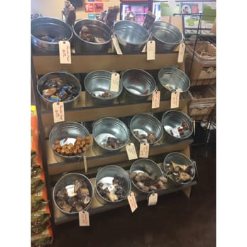Pets to Go - Pet Stores Near Me - Elk Grove, California