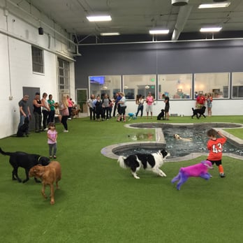 Unleashed Dog Hotel - Max bday party - Pet Groomers Near Me - Murray, Utah Unleashed Dog Hotel - Max bday party - Pet Groomers Near Me - Murray, Utah
