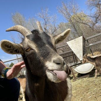 Hee Haw Farms - Attraction Farms Near Me - Pleasant Grove, Utah
