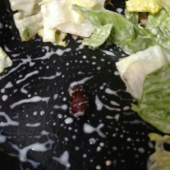 Moonlite Diner - Diners Near Me - Hollywood, Florida