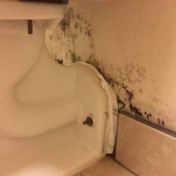 Quality Inn At Eglin Afb - Mold behind toilet, complete crackhouse! - Hotels Near Me - Niceville, Florida Quality Inn At Eglin Afb - Mold behind toilet, complete crackhouse! - Hotels Near Me - Niceville, Florida