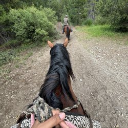 Alpine Meadows Stables - The trail