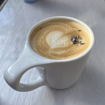 Sunflower Caffe - Lavender Oat Latte - Coffee & Tea Near Me - Sonoma, California Sunflower Caffe - Lavender Oat Latte - Coffee & Tea Near Me - Sonoma, California