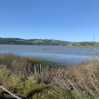 Benicia State Recreation Area - View at the beginning. - Parks Near Me - Benicia, California Benicia State Recreation Area - View at the beginning. - Parks Near Me - Benicia, California