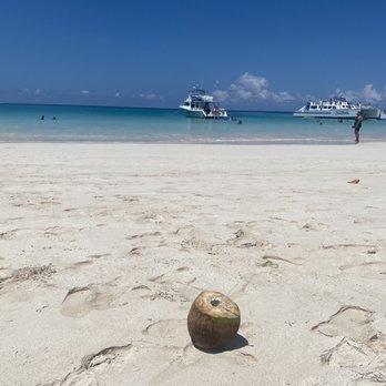 Sail Getaways - I purchased a coconut. Perfect for the stop at the beautiful beach. - Snorkeling Near Me - Fajardo, Puerto Rico