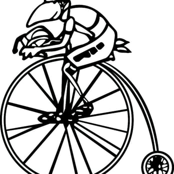 Tern Of The Wheel - Bikes Near Me - Bradley, Illinois Tern Of The Wheel - Bikes Near Me - Bradley, Illinois