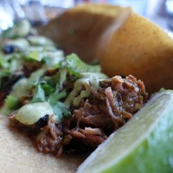 Blue Gecko - Green Chili Pork Taco