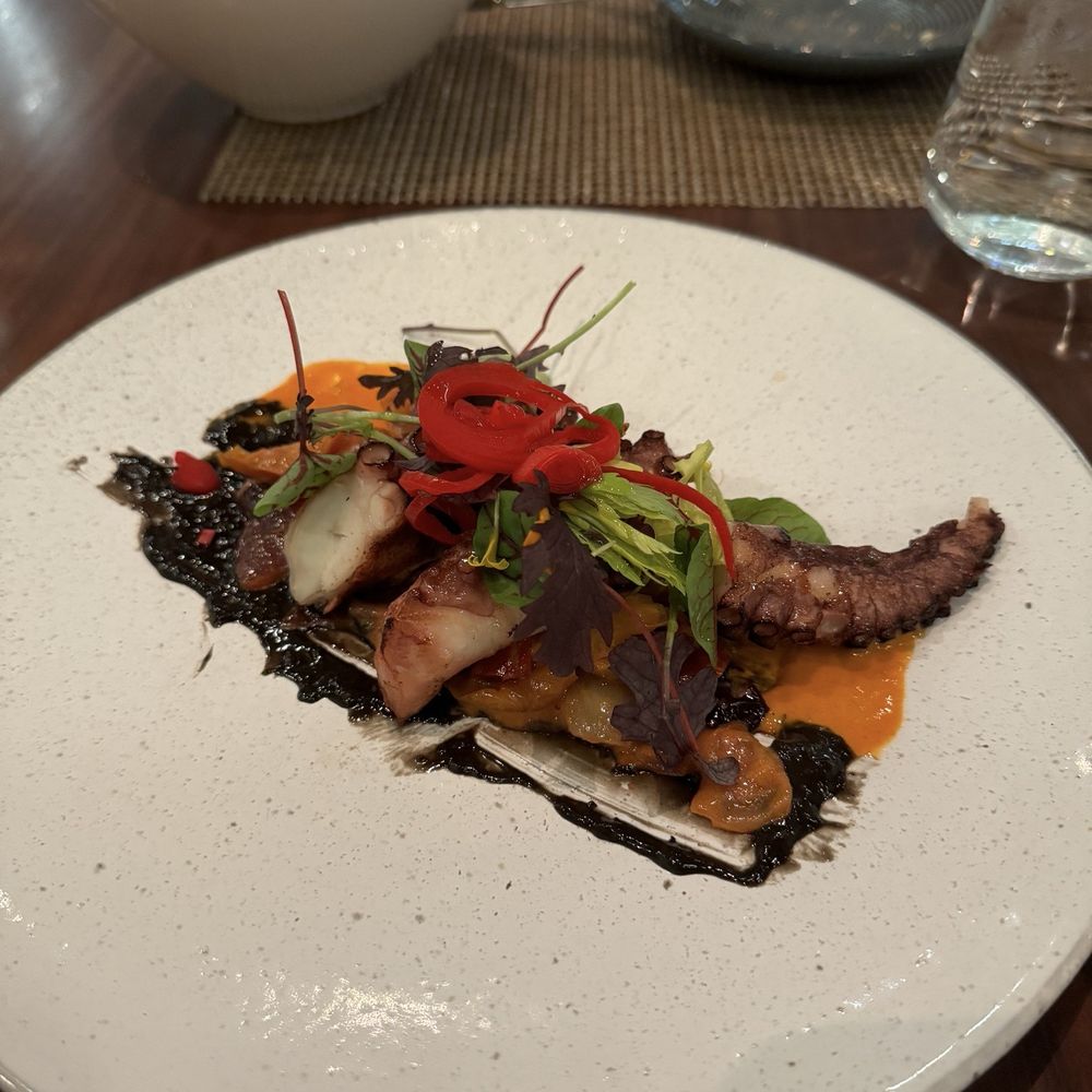 Ristorante TOSCA - Grilled Octopus - Italian Near Me - Washington, DC, District of Columbia Ristorante TOSCA - Grilled Octopus - Italian Near Me - Washington, DC, District of Columbia