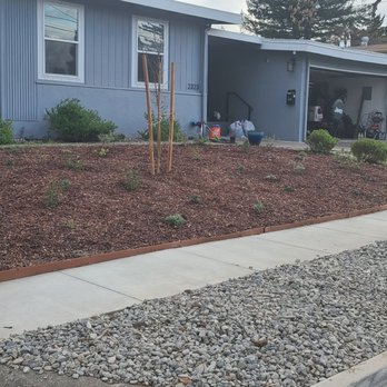 Pintail Landscaping - Landscaping Near Me Pintail Landscaping - Landscaping Near Me