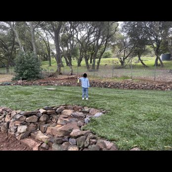 True Nature Landscape - Final lawn picture - Landscaping Near Me - Fairfield, California