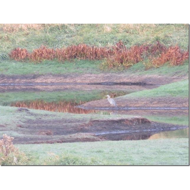 Deborah McManus, MS, LMHC - grief counselor in Spokane, WA