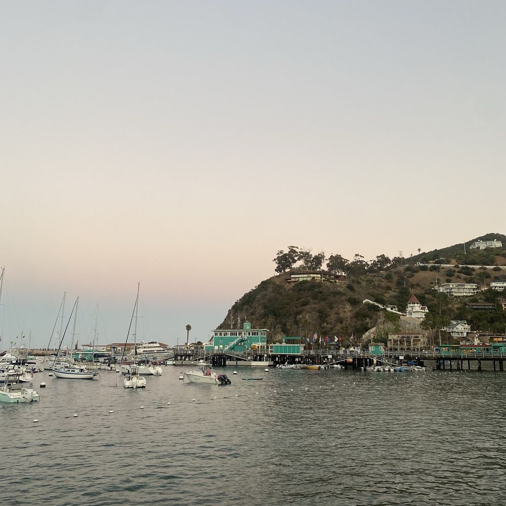 Bluewater Avalon - View at sunset - Seafood Near Me - Avalon, California