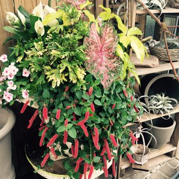 Rohr & Sons Nursery - Nurseries & Gardening Near Me - Massillon, Ohio Rohr & Sons Nursery - Nurseries & Gardening Near Me - Massillon, Ohio