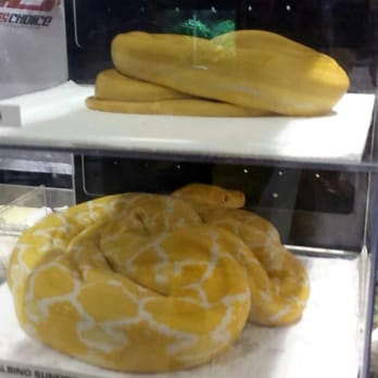 Reptile Super Show - Festivals Near Me - Pomona, California Reptile Super Show - Festivals Near Me - Pomona, California