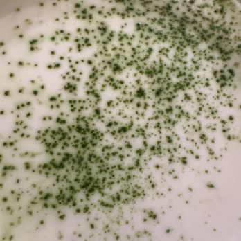 Pink Pink Tea Shoppe - Bubble Tea Near Me - San Francisco, California