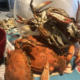 Tasty and great but there were a few that was mushy & taste it and smell like ammonia.  Over all I would bye again