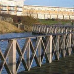 Cardiff Bay Wetlands Reserve - Photo taken from Cardiff Council's website: http://www.cardiff.gov.uk