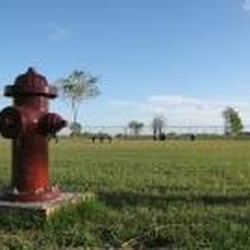 Stillman Dog Park - Two separate areas for large and small dogs with water fountains, trees, benches.