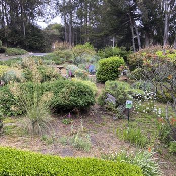 Elk Cove Inn & Spa - Molly's garden - Wine Bars Near Me - Elk, California Elk Cove Inn & Spa - Molly's garden - Wine Bars Near Me - Elk, California