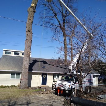 Out On A Limb Tree and Landscape - a utility truck and a tree - Tree Services Near Me Out On A Limb Tree and Landscape - a utility truck and a tree - Tree Services Near Me