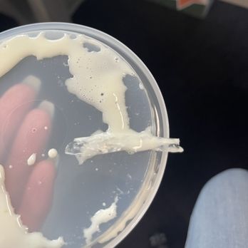 El Rodeo - Plastic from the bottom of my cheese dip - Mexican Near Me - Fredericksburg, Virginia El Rodeo - Plastic from the bottom of my cheese dip - Mexican Near Me - Fredericksburg, Virginia