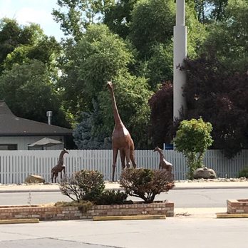 Miner Street 76 - Giraffes across the street. - Gas Stations Near Me - Yreka, California Miner Street 76 - Giraffes across the street. - Gas Stations Near Me - Yreka, California