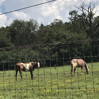 Jensen Reserve - Farmers Market Near Me - Loganville, Georgia