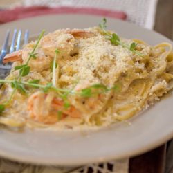 Saramsam Ylocano Restaurant & Bar - Shrimp alfredo