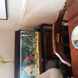 Auburn House B&B