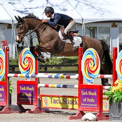 Century Mill Stables - Sales Horse "Apples Amaretto"