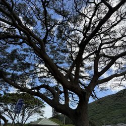 Kuliouou Neighborhood Park