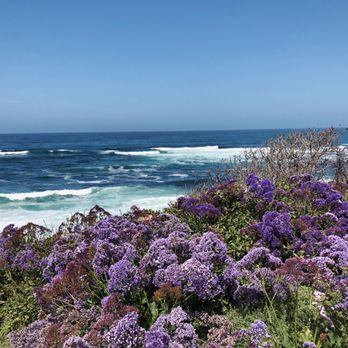 La Jolla Cove - La Jolla Cove in San Diego, CA - Parks Near Me - La Jolla, California La Jolla Cove - La Jolla Cove in San Diego, CA - Parks Near Me - La Jolla, California