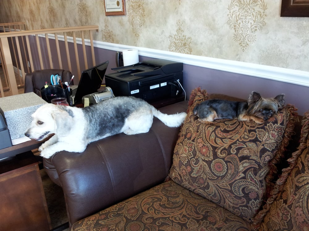 Wags&Wiggles Image