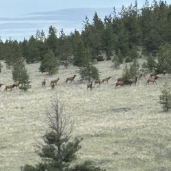 Summer Star Ranch