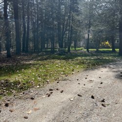 Just Lawns 4u - Spring cleanup before