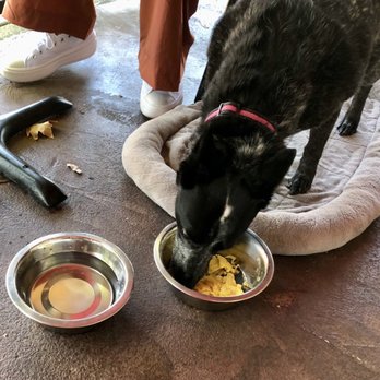 Brickland | Restaurant & Bar - Pup with the hen house - New American Near Me - Sacramento, California
