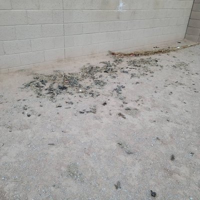 Before & After - Leave the dirty work to us! Call today for a FREE estimate when you mention you found us on Yelp! Before & After - Leave the dirty work to us! Call today for a FREE estimate when you mention you found us on Yelp!