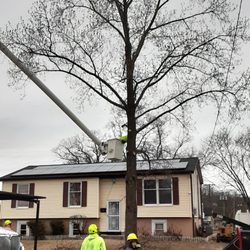 Felix Tree Service