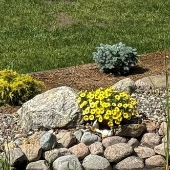 Curb Appeal Landscaping - Planted the Shrubs Junipers and Globe Spruce. - Landscaping Near Me - Osage, Iowa Curb Appeal Landscaping - Planted the Shrubs Junipers and Globe Spruce. - Landscaping Near Me - Osage, Iowa