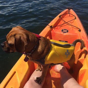 SD Livinit - Ivy loved kayaking!!! - Paddleboarding Near Me