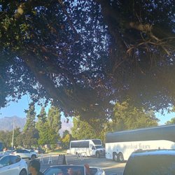 Hollywood Bowl Park & Ride - Fleet of buses