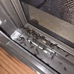 Pella Windows and Doors Showroom of Orlando, FL - The bugs that the screens allow in so no opening your windows in the cooler months.