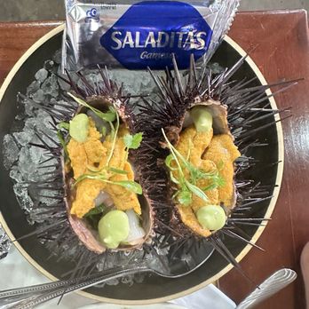 Holbox - Kanpachi & Uni Tostada - Latin American Near Me - Los Angeles, California Holbox - Kanpachi & Uni Tostada - Latin American Near Me - Los Angeles, California
