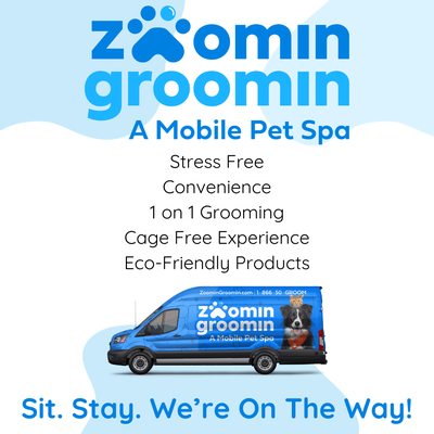 🌟 Mobile Pet Grooming 🐶 🛁 - Our friendly mobile groomers shower your pet with attention, including lots of hugs! All of our services include Nail Trimming (trim/buff), Ear Cleaning (what dog doesn’t love their ears rubbed?), and natural enzymatic teeth cleaning. Your furry friend is the VIP, no cages here, just lots of love and attention!
🌟 Bath & Blowout Service 🛁💨
Indulge your pet in our Bath & Blowout experience, featuring a relaxing bath using premium products customized to meet your furbaby’s specific needs. Our skilled team uses gentle fluff drying techniques, ensuring your furry friend emerges not only clean but also smelling fresh each and every time!
🌟 Bath, Blowout & Tidy Trim Service 🛁💨 🐶✂️
This bundle includes our Bath & Blowout, accompanied by a Tidy Trim. This entails a trim concentrated on the Face, Feet, and Fanny area—perfect for breeds with ‘feathers’ and furry feet or those who have overgrown hair covering their sweet eyes.
🌟 Bath, Blowout & All-Over Cut 🛁💨🐩✂️
Our all-over cuts include our Bath, Blowout, and Full Groom. Your groomer will provide a consultation and will help you decide on a cut that fits your pup’s lifestyle! Our all-over trim service includes a full-body haircut to keep your pup’s coats in peak condition and looking great!
🌟 Deshedding Service 🪮
Our de-shedding package uses moisturizing shampoo and conditioner to release your pet’s undercoat. After their soothing bath and blowout, our groomers use specialized tools to brush out the rest of the loose fur. This will leave your pet feeling free of their undercoat and your home with less fur! 🌟 Mobile Pet Grooming 🐶 🛁 - Our friendly mobile groomers shower your pet with attention, including lots of hugs! All of our services include Nail Trimming (trim/buff), Ear Cleaning (what dog doesn’t love their ears rubbed?), and natural enzymatic teeth cleaning. Your furry friend is the VIP, no cages here, just lots of love and attention!
🌟 Bath & Blowout Service 🛁💨
Indulge your pet in our Bath & Blowout experience, featuring a relaxing bath using premium products customized to meet your furbaby’s specific needs. Our skilled team uses gentle fluff drying techniques, ensuring your furry friend emerges not only clean but also smelling fresh each and every time!
🌟 Bath, Blowout & Tidy Trim Service 🛁💨 🐶✂️
This bundle includes our Bath & Blowout, accompanied by a Tidy Trim. This entails a trim concentrated on the Face, Feet, and Fanny area—perfect for breeds with ‘feathers’ and furry feet or those who have overgrown hair covering their sweet eyes.
🌟 Bath, Blowout & All-Over Cut 🛁💨🐩✂️
Our all-over cuts include our Bath, Blowout, and Full Groom. Your groomer will provide a consultation and will help you decide on a cut that fits your pup’s lifestyle! Our all-over trim service includes a full-body haircut to keep your pup’s coats in peak condition and looking great!
🌟 Deshedding Service 🪮
Our de-shedding package uses moisturizing shampoo and conditioner to release your pet’s undercoat. After their soothing bath and blowout, our groomers use specialized tools to brush out the rest of the loose fur. This will leave your pet feeling free of their undercoat and your home with less fur!