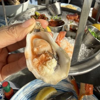 Driftwood Kitchen - Seafood Near Me - Laguna Beach, California Driftwood Kitchen - Seafood Near Me - Laguna Beach, California