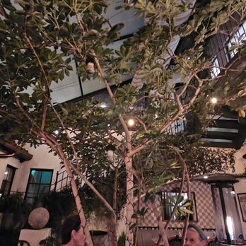 Violet Bistro - French Near Me - Los Angeles, California Violet Bistro - French Near Me - Los Angeles, California