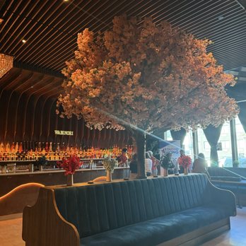 Wabi Nori - Sushi Bars Near Me - Flushing, New York